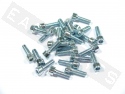 Tornillo CHC ISO 4762 M5x16 acero galvanizado (contiene 25)